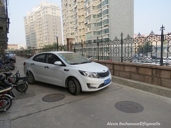 %d1%80%d1%8b%d0%b1-002