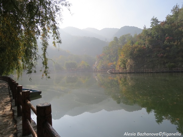 %d1%82%d1%83%d1%80-065