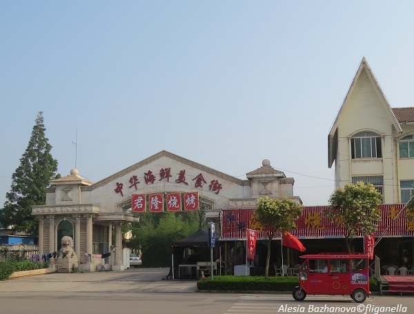 2015_07-%d0%b6%d0%b8%d1%87%d0%b6%d0%b0%d0%be-076