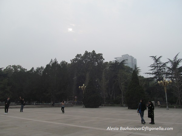 img_9283-%d0%ba%d0%be%d0%bf%d0%b8%d1%8f