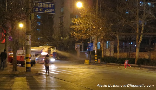 кантонская кухня 097