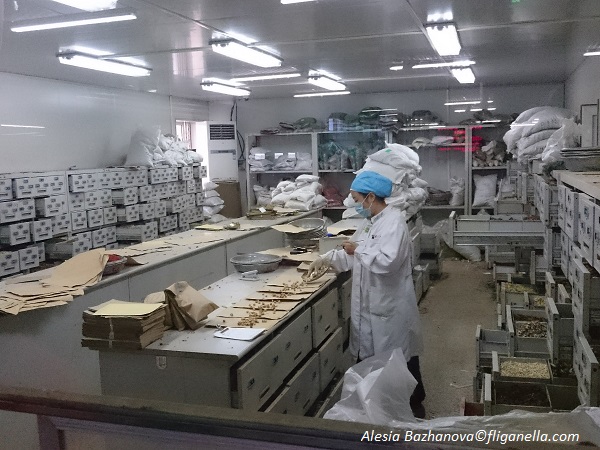 DSC_0152 - копия