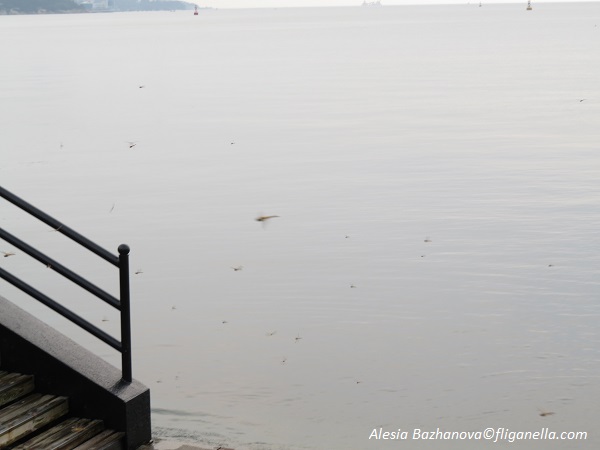 2015_07 Вэйхай 036