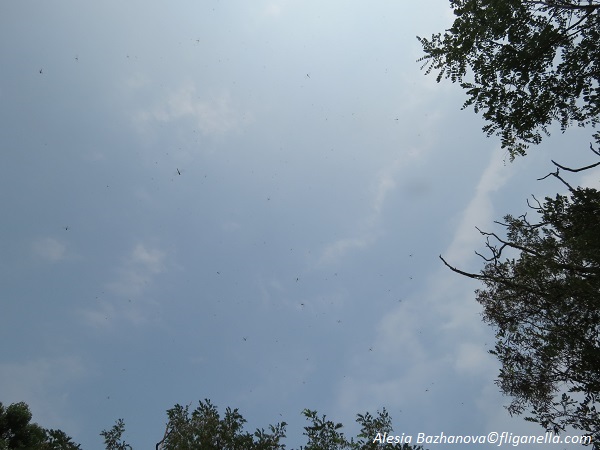 2015_07 Вэйхай 263